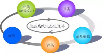 浙江省海洋水產(chǎn)研究所多生態(tài)位設(shè)施化耦合養(yǎng)殖技術(shù)開(kāi)發(fā)及應(yīng)用榮獲省科技進(jìn)步三等獎(jiǎng)