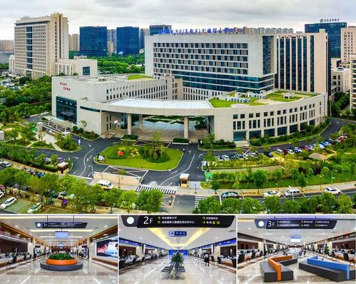 從“甌江潮涌”到“數(shù)字浪潮” 溫州技術(shù)開(kāi)發(fā)70年回眸與展望